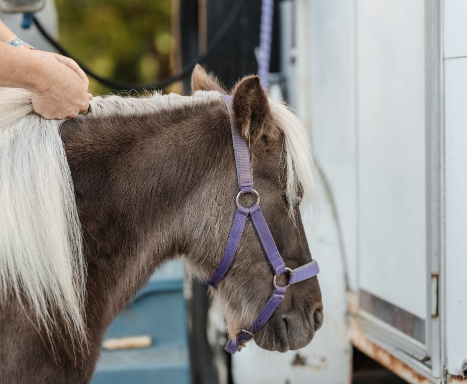 601964269_122197649390360410_1279824009691254193_n