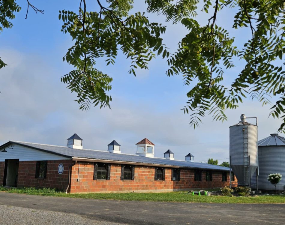 f0f17b4c-4ba5-41ca-8512-466c7fc20c35